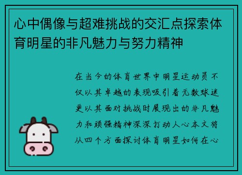 心中偶像与超难挑战的交汇点探索体育明星的非凡魅力与努力精神